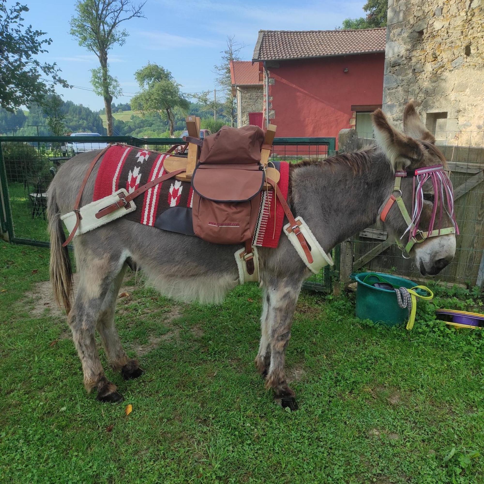 Bertignat Gite La Roche מראה חיצוני תמונה